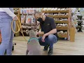 Pet Food Express