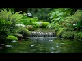 Download Lagu 🌵 Music therapy 🌿Soothes the nervous system and refreshes the soul, relaxing #3
