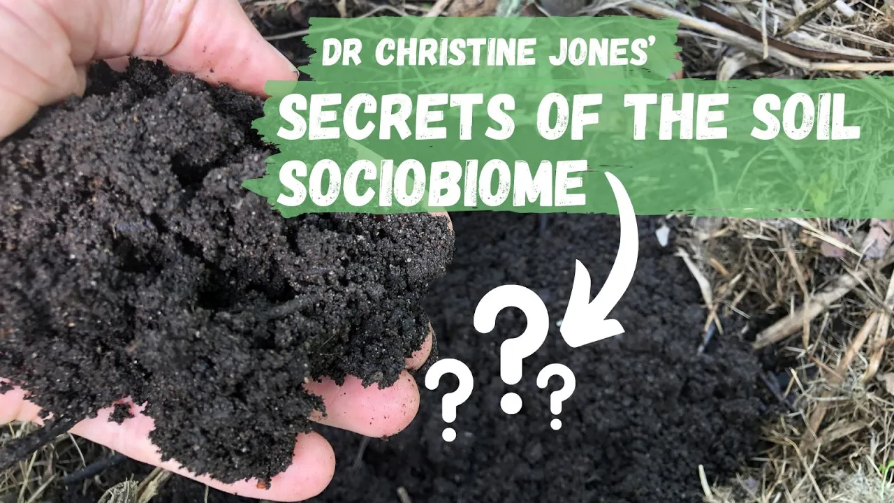 Dr Christine Jones' Secrets Of The Soil Sociobiome Explained | Regenerative Agriculture