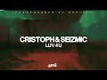 Cristoph & Seizmic (UK) - Luv 4 U (Extended Mix)