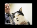 Best Care Pet Hospital West Omaha NE 68137-1777