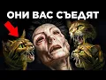 Парад Фактов: Самое Странное Поведение Животных