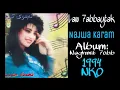 Najwa Karam -  Law 7abbaytak  [Official Audio] (1994) / نجوى كرم - لو حبيتك