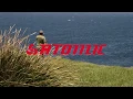 Atomic Arrowz Shore Spin Walkthrough