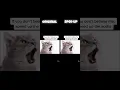 Here's the sped up version! #spedup #fyp #roadto100subs #scary #cat #meow #cutecat #death #creepy