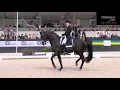 Download Lagu Edward Gal And Glock's Zonik Grand Prix Freestyle 84% To Win The Dutch Championship