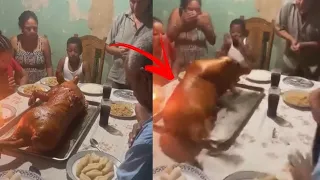 SE VOCÊ ACHAVA QUE TINHA VISTO TUDO ASSISTA ESSE VÍDEO BIZARRO VÍDEOS ASSUSTADORES