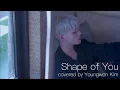 Download Lagu Ed Sheeran - Shape of You (Song cover by Kim youngwon)