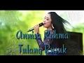 Lagu Annisa Rahma tulang rusuk new palapa