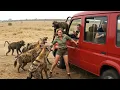 Download Lagu Incredible Safari Moments Caught on Camera