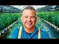 Download Lagu Así Es El Nuevo Negocio Agricultor de Éxito (Arándanos)