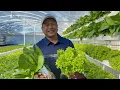 Amazing Hydroponics Farm Near Baguio City with English subtitle Nars Adriano