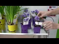 Download Lagu OKI Europe @ EuroCis2019 - Amazing Innovation for Retailers