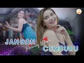 Download Lagu Dj Jangan Cemburu - Princes Nadia ((Official Music Video)