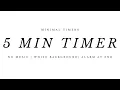 5 Minute Timer Minimal Timer White Background No Music