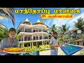 Download Lagu யாழில் 🥭 மாந்தோப்பில் 🇬🇧 அண்ணாவின் பிரமாண்ட மாளிகை | Mango mansion Jaffna  youtubers |  Tamil  Vlog