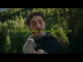 Post Malone - I'm Gonna Be lyrics video.
