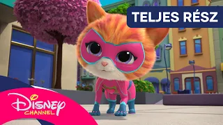 🎶 Segítő dal | Szupercicák [TELJES EPIZÓD] | Disney Csatorna