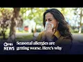 Seasonal allergies are getting worse Here s why