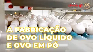OVO LÍQUIDO E OVO EM PÓ: VEJA COMO É A FABRICAÇÃO