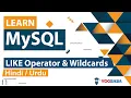 MySQL LIKE Operator Wildcards Tutorial in Hindi Urdu