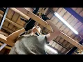 Download Lagu Building our EPIC ATTIC DOOR… From scratch! / Renovating a 110+ y.o. ABANDONED farm in Belgium