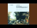 Download Lagu Was mir behagt, ist nur die muntre Jagd, BWV 208, \