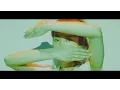 Download Lagu Czecho No Republic(チェコノーリパブリック) / Forever Dreaming