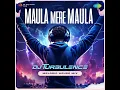 Maula Mere Maula - Melodic House Mix