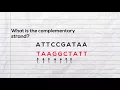 Practice writing the complementary strand of DNA and mRNA during transcription