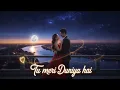 Download Lagu 🌹 “Tu Meri Duniya Hai – Meri Saansen, Mera Jahaan” 🌹