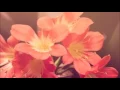 Download Lagu Marhaban Bilhadhirina- Abdullah Mahdawi- مرحبا با الحاضرين- عبد اللة المحداوي