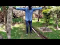 Download Lagu Les wanyika -Amigo