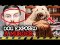 The Loyal Dog Who Exposed A Murder The HORRIBLE Case Of Mandy Reynolds