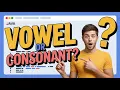Is it a Vowel or Consonant Simple Java Program Explained