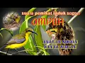 Download Lagu SUARA ANAKAN SOGON || pikat sogon ampuh