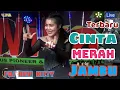 Download Lagu TERBARU OT WIKA CINTA MERAH JAMBU FDJ DEVI KITTY