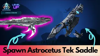 Astrocetus Tek Saddle Spawn Command Ark Survival Ascended