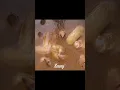Download Lagu Cita rasa dan aroma rempah dari Sayap Goreng Aroma Ketumbar dijamin memanjakan lidah kamu😋
