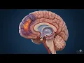Mind Spa s Tricare Preferred Program