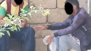 أغنية الطفل الضائع بين شوارع المدن المغربية  أغنية الطفل الضائع بين شوارع المدن المغربية