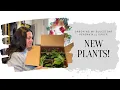 Unboxing my Bluestone Perennials live plants order April Garden VLOG