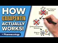 Gabapentin in 13 Minutes Mechanism Dosing Side Effects Clinical Pearls