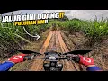 Udah Gak Ada Hutan, Diwilayah Ini !! Puluhan KM Jalur Gini Doang !!