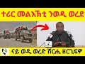 Download Lagu BREAKING News   ተሪር መልእኽቲ ንወዲ ወረደ   II   ናይ ወዲ ወረድ ሸርሒ ዘርጊፍዎ