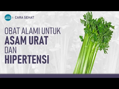 Cara Olah Seledri Untuk Menyembuhkan Asam Urat Hingga Hipertensi