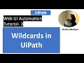 Wildcards Tutorial 3