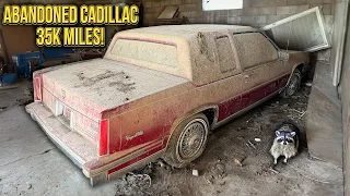 Cadillac Coupe DeVille ABANDONED With 35k Original Miles First Wash in 21 Years