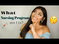 What is the CEP Program Info about my Nursing Program