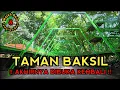 Lagu 🟡TAMAN BAKSIL Dibuka KEMBALI‼️Review \u0026 Explorasi WAJAH BARU Forest Walk Setelah di REVITALISASI🧐